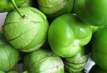 Физалис Tomatillo Verde 