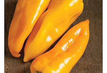 Перец сладкий  Sweet pepper Escamillo 