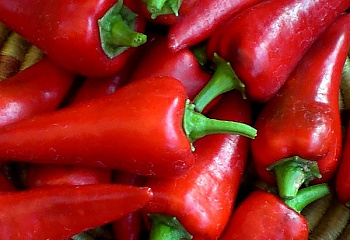 Перец сладкий  Sweet pepper Cyklon 