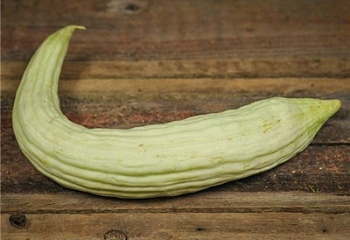 Дыня Melon Metki White Serpent 