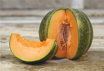 Дыня Melon Petit Gris de Rennes 