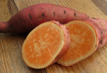 Батат или Сладкий картофель Sweet Potato Covington 