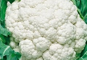 Капуста цветная Cauliflower Planita 