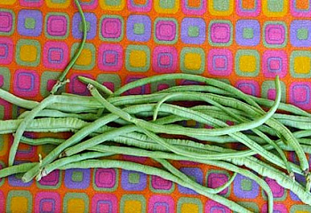 Фасоль Phaséolus Thai White Seeded Long 