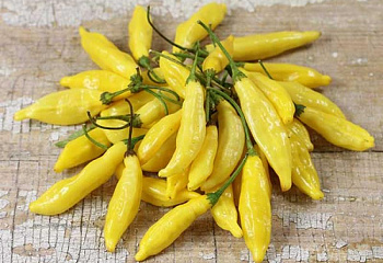 Перец острый Hot pepper Lemon Drop Pepper 
