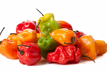 Перец острый Hot pepper Habanero 