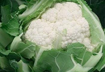 Капуста цветная Cauliflower Locris 