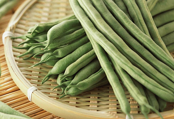 Фасоль Phaséolus Blue Speckled 