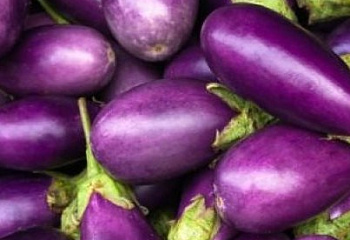 Баклажан Eggplant Thai Round Purple F1 
