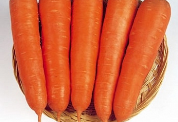 Морковь Carrot Victoria 