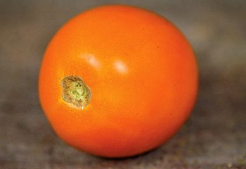 Помидор Тomato Woodle Orange 