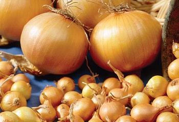 Лук Оnion Centurion 