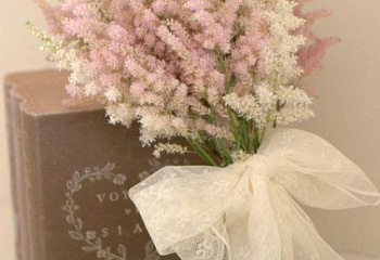 Астильба Astilbe MIX  Bride's bouquet 