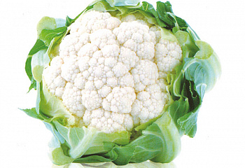 Капуста цветная Cauliflower White Excel 
