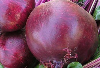 Свекла Beet Akela 