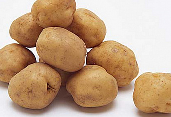 Картофель Potato Vega 