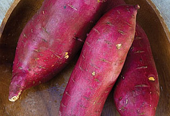 Батат или Сладкий картофель Sweet Potato Murasaki Purple 