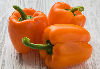 Перец сладкий  Sweet pepper Etiuda Pepper 