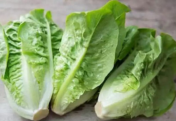 Салат Lettuce Little Gem Mini 
