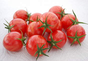 Помидор Тomato Pink Bumble Bee 