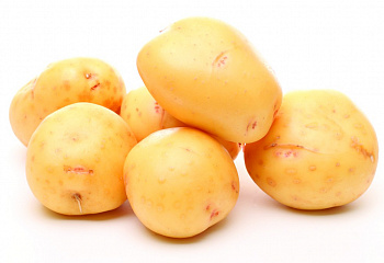 Картофель Potato Yukon Gold 