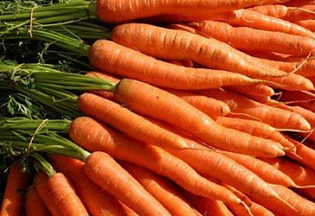 Морковь Carrot Snow man 