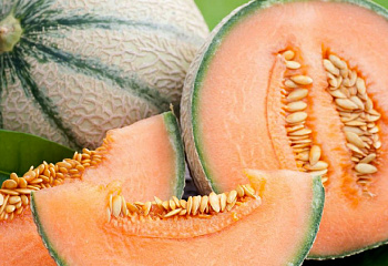 Дыня Melon Cavaillon 