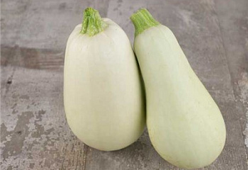 Кабачок Marrow squash Zucchini Lungo Bianco 