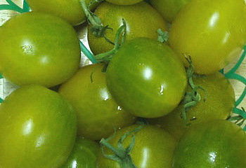 Помидор Тomato Green Grape 