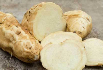 Батат или Сладкий картофель Sweet Potato Jersey Yellow 