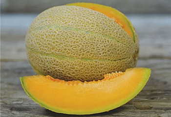 Дыня Melon Hales Best 