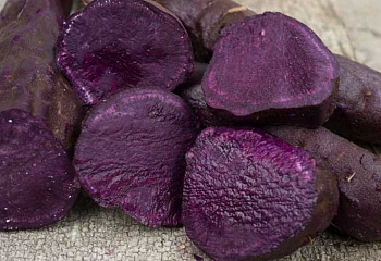 Батат или Сладкий картофель Sweet Potato Molokai Purple 