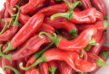 Перец сладкий  Sweet pepper Leutschauer Paprika Pepper 