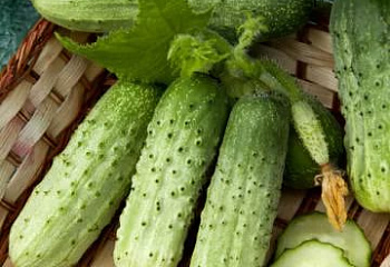 Огурец Cucumber Paska 