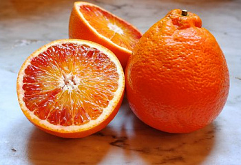 Апельсиновое дерево Orange Tree Tarocco deforme 
