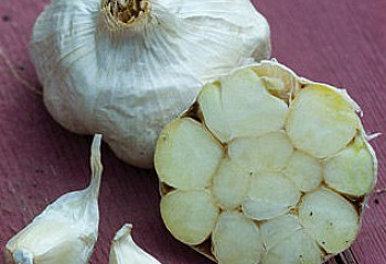 Чеснок Garlic Italian Loiacono 
