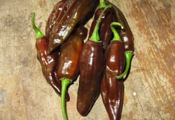 Перец острый Hot pepper Fatalii Chocolate 