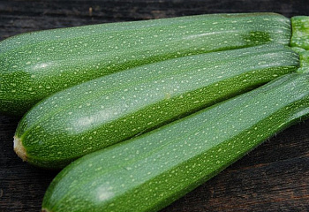 Кабачок Marrow squash Zucchini Dark Green 