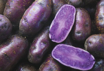 Картофель Potato Violetto 
