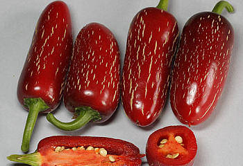 Перец острый Hot pepper Jalapeno M 