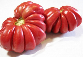 Помидор Тomato Pink Аccordion 