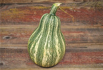 Тыква Squash Hindu Squash 