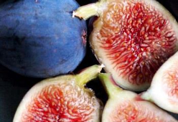 Инжир Fícus cárica Fig Blue Provence