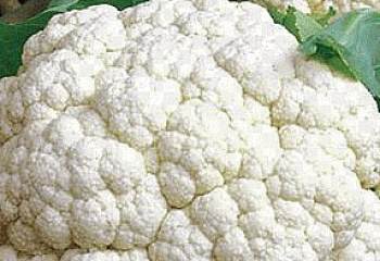 Капуста цветная Cauliflower Fremont 