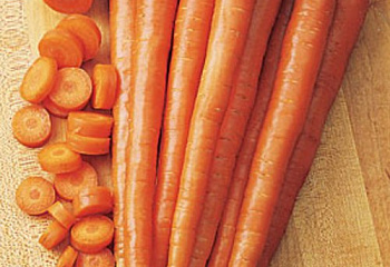 Морковь Carrot Burpee Hybrid 