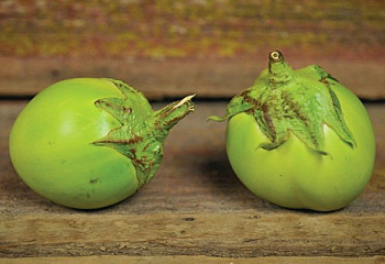 Баклажан Eggplant Applegreen F1 
