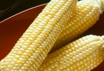Кукуруза Sweetcorn Corn Jubilee Yellow 