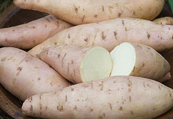 Батат или Сладкий картофель Sweet Potato Bonita 