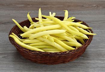 Фасоль Phaséolus Goldmarie Romano 