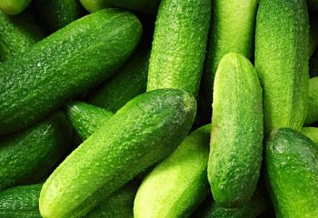 Огурец Cucumber Picklebush 